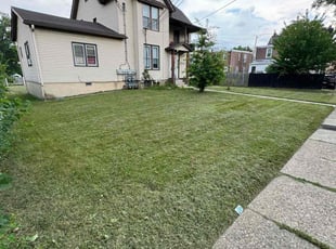 John C.'s turf care service result