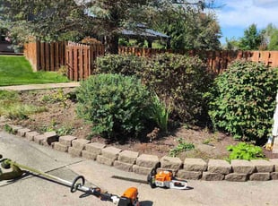 Ron B.'s Bush Trimming service result