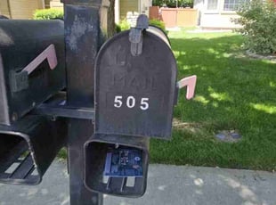 Gregory A.'s lawn maintenance service result