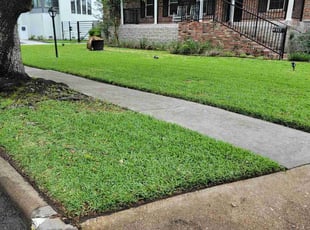 Graham B.'s lawn care services service result