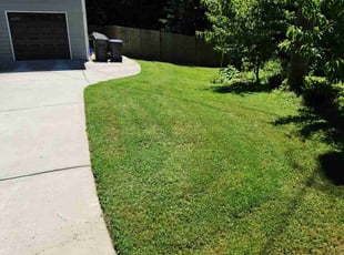 Jim M.'s lawn care service result