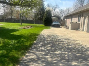 Kedric A.'s turf maintenance service result