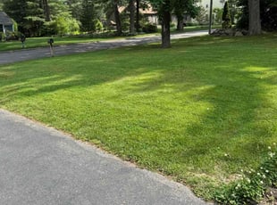 Larry S.'s lawn maintenance service result