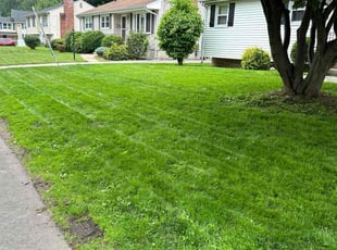 Tracy O.'s lawn maintenance service result