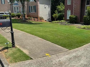 Keith W.'s lawn care service result