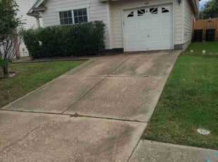 Millie R.'s Bush Trimming service result