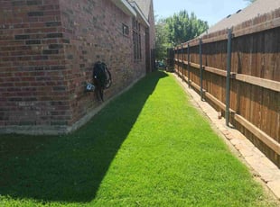 Lissa L.'s lawn care service result