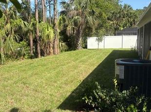 Angel H.'s turf maintenance service result