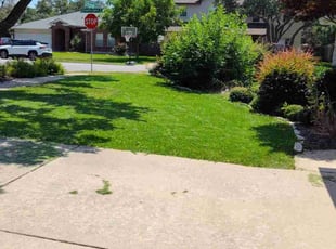Rocky K.'s lawn service service result