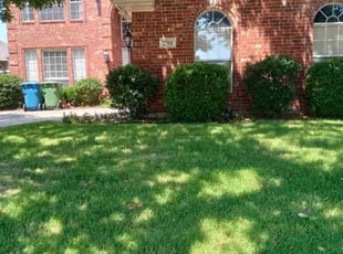 Andrew T.'s lawn care services service result