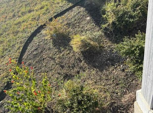 Thuy T.'s lawn service service result