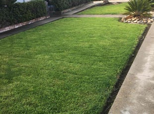 Jennivine C.'s grass cutting service result