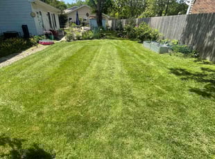 Craig A.'s landscaping services service result