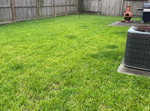 Melissa C.'s turf maintenance service result