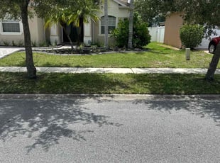 Marsha F.'s lawn care service result