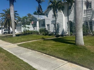 Margaret F.'s grass cutting service result