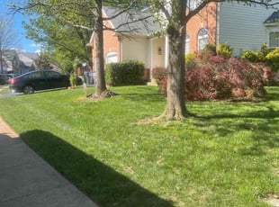 Hae E.'s lawn service service result