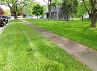 Mike C.'s turf maintenance service result