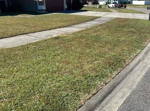 Melissa A.'s Long Grass Cleanup service result