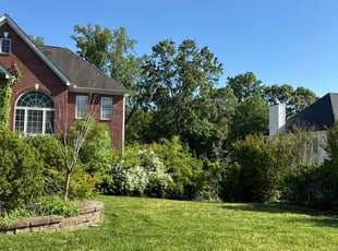M W.'s turf care service result