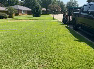 Debbie L.'s lawn care services service result