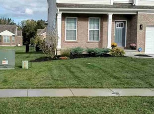 Antonella S.'s lawn service service result