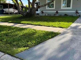 Jennifer S.'s grass cutting service result
