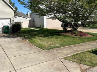 Darlene B.'s grass maintenance service result