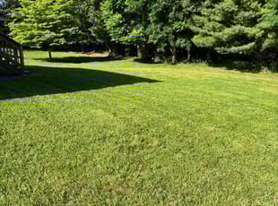 Judith S.'s lawn care services service result
