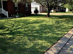 Lee A.'s turf care service result