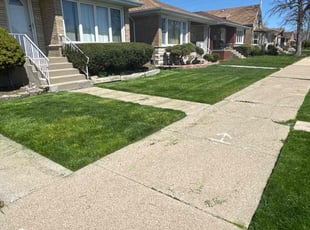 Jennifer p.'s grass cutting service result
