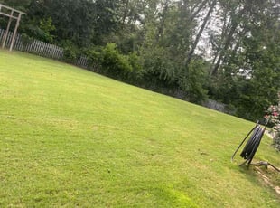 Eric K.'s turf care service result