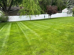 Mark G.'s lawn service service result
