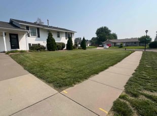 Bradley A.'s grass cutting service result