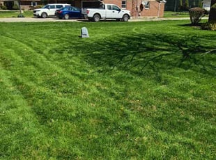 Eric R.'s lawn care service result