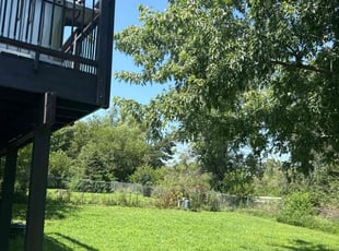 Shannon H.'s grass cutting service result