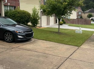 Sara O.'s turf maintenance service result