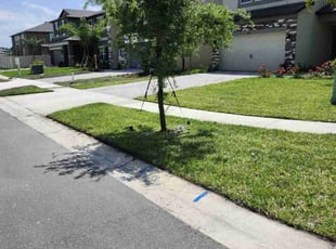 Crystal C.'s grass maintenance service result