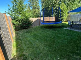 Cameron A.'s grass maintenance service result