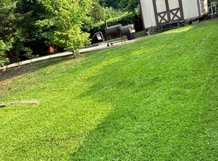 Tatjana R.'s turf care service result