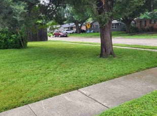 Sarah V.'s landscaping services service result