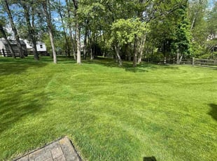 Ken D.'s lawn care service result