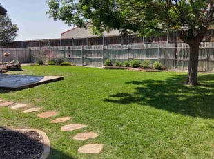 Denise B.'s grass maintenance service result