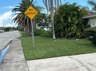 Nadia S.'s grass cutting service result