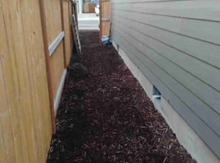 Abanoub F.'s lawn service service result