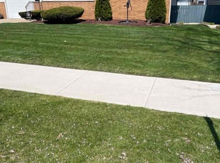 Jennifer N.'s grass cutting service result