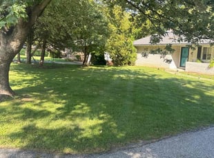 Shanon O.'s grass cutting service result