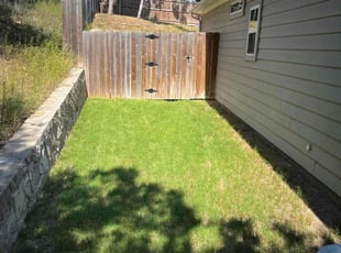 Michael P.'s grass maintenance service result