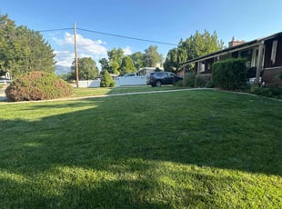 Sandy S.'s turf maintenance service result