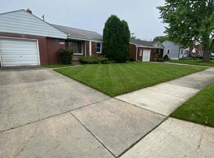 Sherlonda H.'s lawn care service result